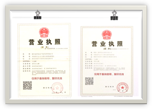 王志柯营业执照(2个公司)